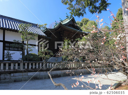 早春の「滝宮天満宮」御本殿 早春の「滝宮天満宮」御本殿 62506035