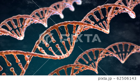 Spiral strands of DNA on the dark background 62506143