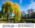 川辺 62506622