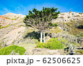 山と木 62506625