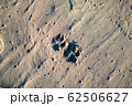 犬の足跡 62506627