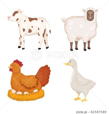 Vector design of farm and food icon. Set of farm and countryside vector icon for stock. 62507589