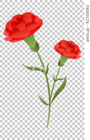 カーネーション イラストのイラスト素材