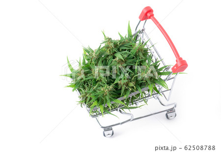 marijuana flower in shopping cart isolated on marijuana flower in shopping cart isolated on 62508788