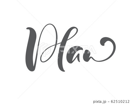 Plan vector calligraphic hand drawn text. Business concept for meetings or organizers or planning notes. Can place your own phrase 62510212