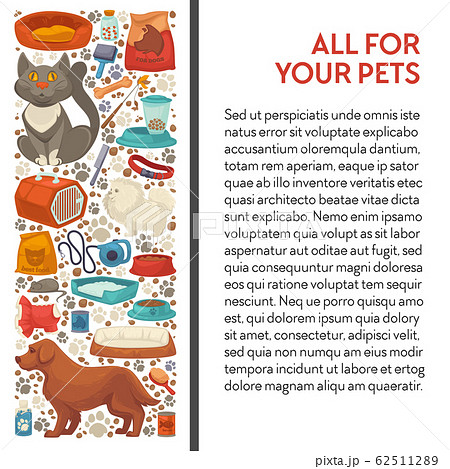 Pet shop, cat and dog food and care goods banner 62511289