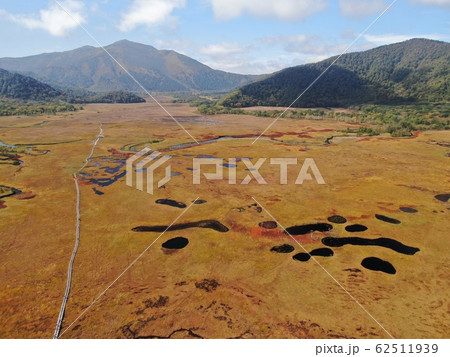 尾瀬ケ原 62511939