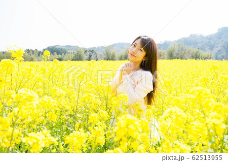 菜の花と女性 62513955