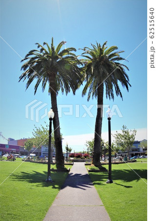 アルケータプラザ、カリフォルニア州アルケータ、USA アルケータプラザ、カリフォルニア州アルケータ、USA 62515640