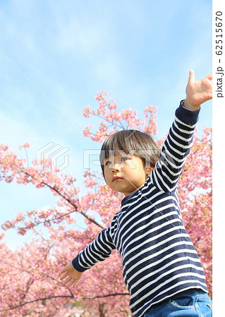 河津桜と子供 河津桜と子供 62515670