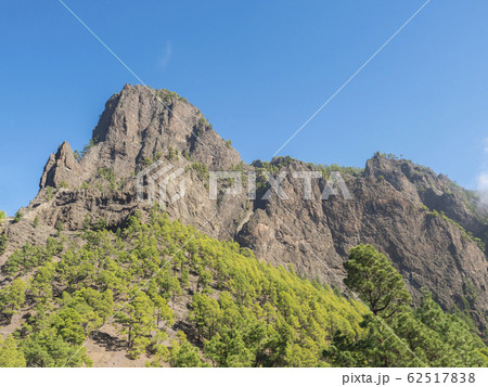 Volcanic landscape and lush pine tree forest, pinus canariensis view from Mirador de la Cumbrecita viewpoint at national park Caldera de Taburiente, volcanic crater in La Palma, Canary Islands, Spain Volcanic landscape and lush pine tree forest, pinus canariensis view from Mirador de la Cumbrecita viewpoint at national park Caldera de Taburiente, volcanic crater in La Palma, Canary Islands, Spain 62517838