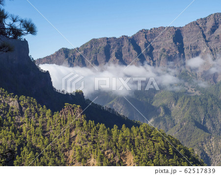 Volcanic landscape and lush pine tree forest, pinus canariensis view from Mirador de la Cumbrecita viewpoint at national park Caldera de Taburiente, volcanic crater in La Palma, Canary Islands, Spain Volcanic landscape and lush pine tree forest, pinus canariensis view from Mirador de la Cumbrecita viewpoint at national park Caldera de Taburiente, volcanic crater in La Palma, Canary Islands, Spain 62517839