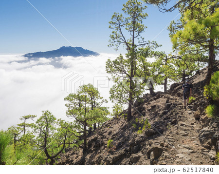 Volcanic landscape and lush green pine tree forest at hiking trail to Pico Bejenado mountain at national park Caldera de Taburiente, volcanic crater in La Palma, Canary Islands, Spain Volcanic landscape and lush green pine tree forest at hiking trail to Pico Bejenado mountain at national park Caldera de Taburiente, volcanic crater in La Palma, Canary Islands, Spain 62517840