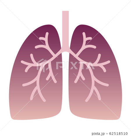 肺炎の肺 62518510