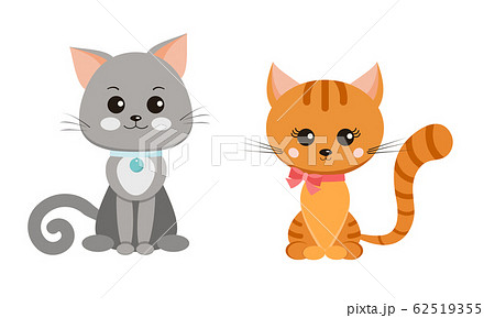 Vector cat set isolated on white background in cartoon flat style. 62519355