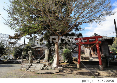 霧島神社 鹿児島県薩摩郡さつま町 の写真素材