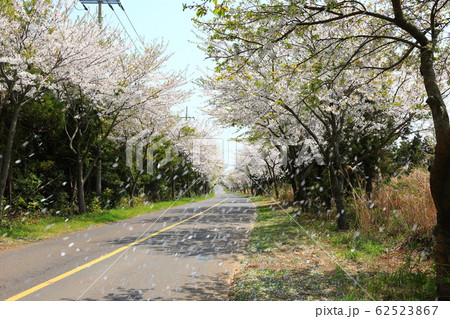 風景 観光 風 62523867