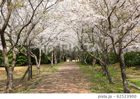 風景 観光 風 62523900