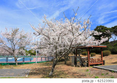風景 観光 風 62523901