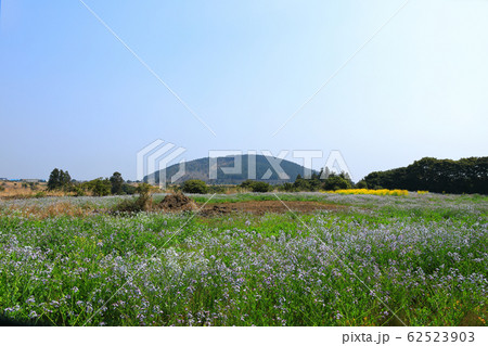 風景 観光 風 62523903