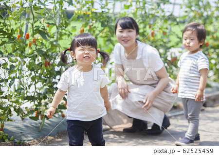 農家の親子 農家の親子 62525459