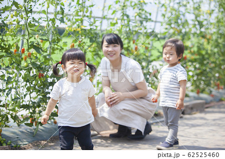 農家の親子 農家の親子 62525460