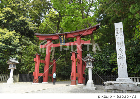越後国一宮 彌彦神社 新潟県西蒲原郡弥彦村弥彦 越後国一宮 彌彦神社 新潟県西蒲原郡弥彦村弥彦 62525773