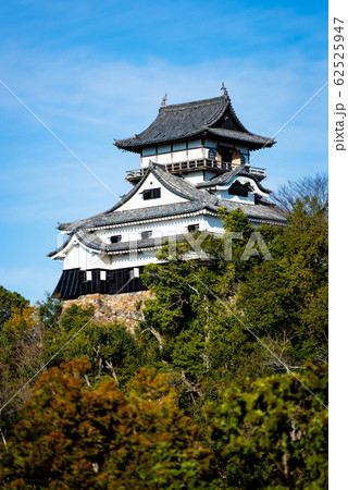 愛知県 犬山城の天守閣 （木曽川側から） 62525947
