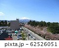 岩木山と桜 62526051