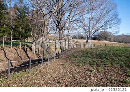 鉢形城跡 伝逸見曲輪付近 鉢形城公園 鉢形城跡 伝逸見曲輪付近 鉢形城公園 62526121