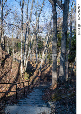 鉢形城跡　　鉢形城公園　冬景色 62526267