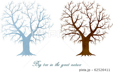 木 冬 夏 春 秋 樹木 大木 水彩 手描き エコロジーのイラスト素材