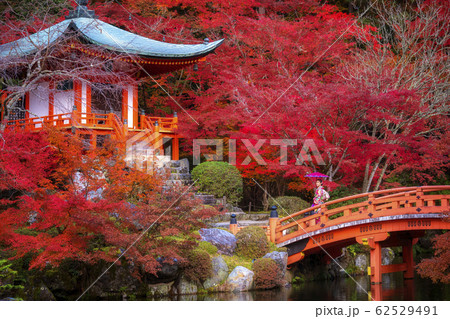Japanese girl in kimono dress and Autumn park Japanese girl in kimono dress and Autumn park 62529491