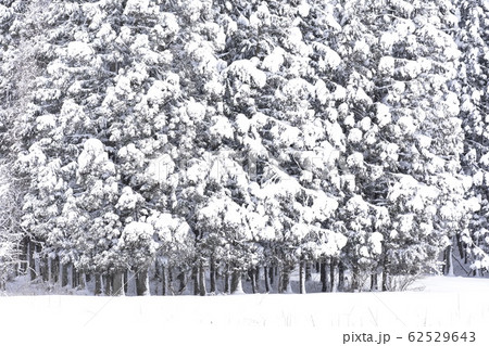 雪景色 62529643