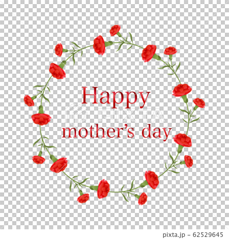 Carnation illustration Carnation illustration 62529645