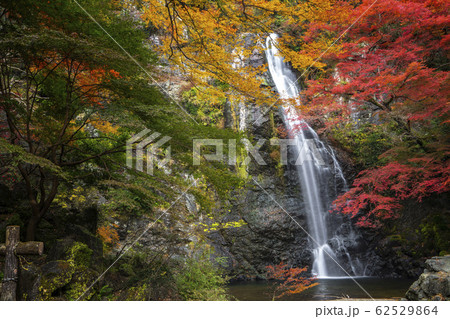 minoh waterfall park with autumn red and yellow 62529864