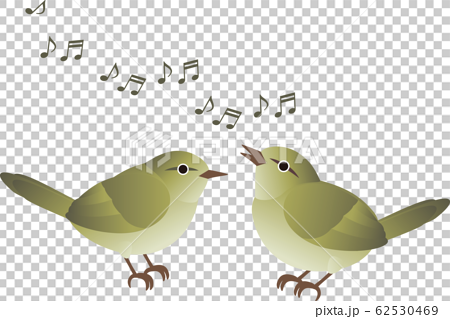 ウグイス 鳴き声 歌 さえずり 鳥 春 のイラスト素材