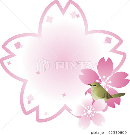 うぐいす　さくら　鳥　春　花　フレーム　コピースペース 62530600