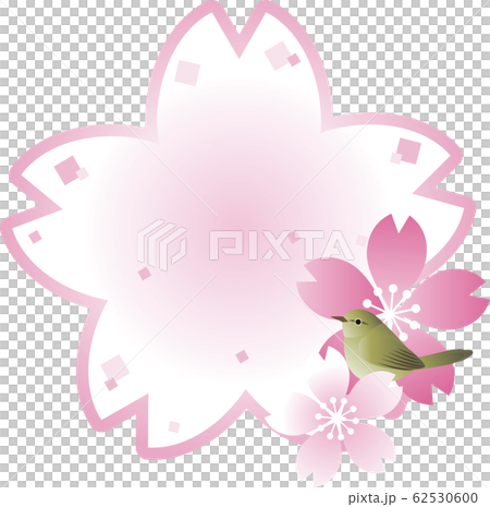 うぐいす　さくら　鳥　春　花　フレーム　コピースペース 62530600