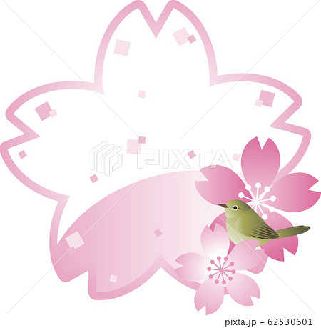 うぐいす　さくら　鳥　春　花　フレーム　コピースペース 62530601