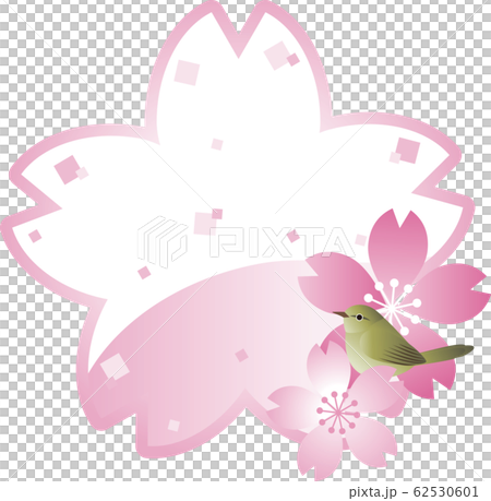 うぐいす　さくら　鳥　春　花　フレーム　コピースペース 62530601