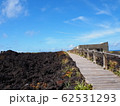三宅島　火山体験遊歩道 62531293