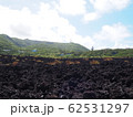 三宅島　火山体験遊歩道　溶岩流 62531297