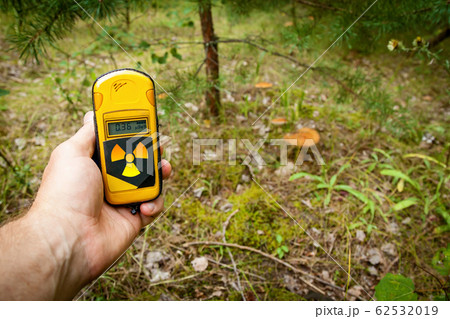 mushrooms in the forest mushrooms in the forest 62532019