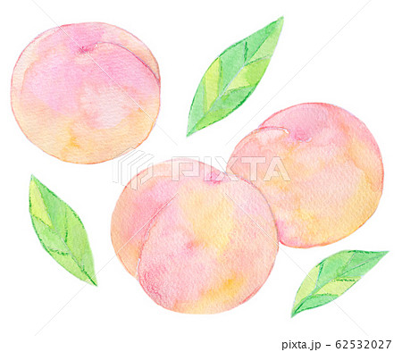 水彩イラスト 食品 食べ物 桃のイラスト素材
