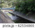 善福寺川 62534860