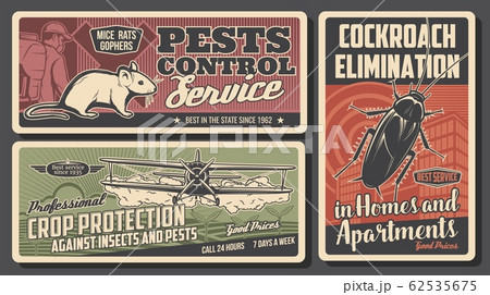 Pest control exterminator, cockroach, rat, plane 62535675