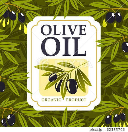 Olive branches with oil drops, black fruit, leaves 62535706