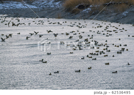 自然 風景 韓国 62536495