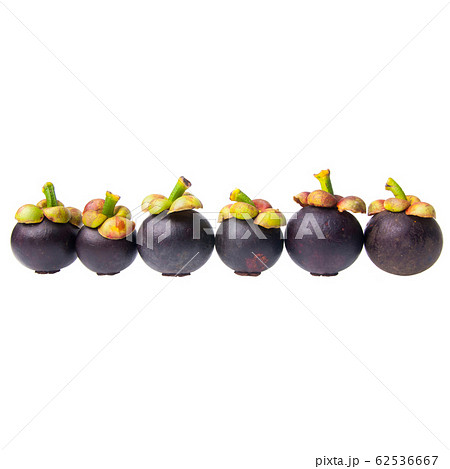 mangosteen or mangosteen with concept on 62536667